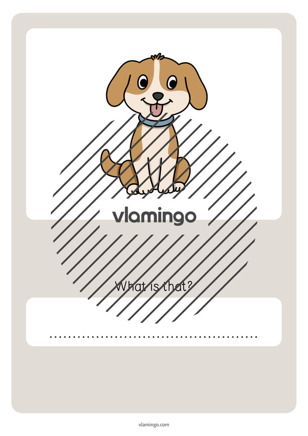 de englisch pets vocabulary quiz 046