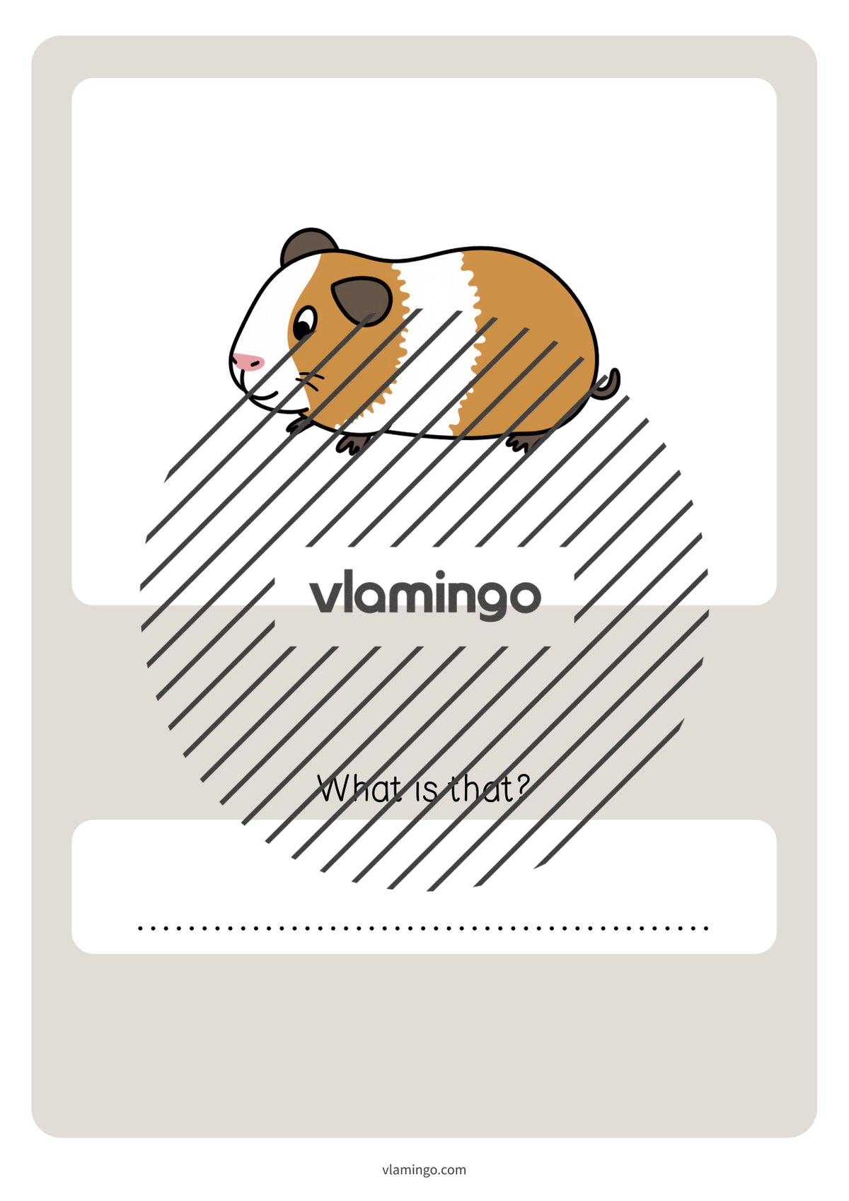 de englisch pets vocabulary quiz 050