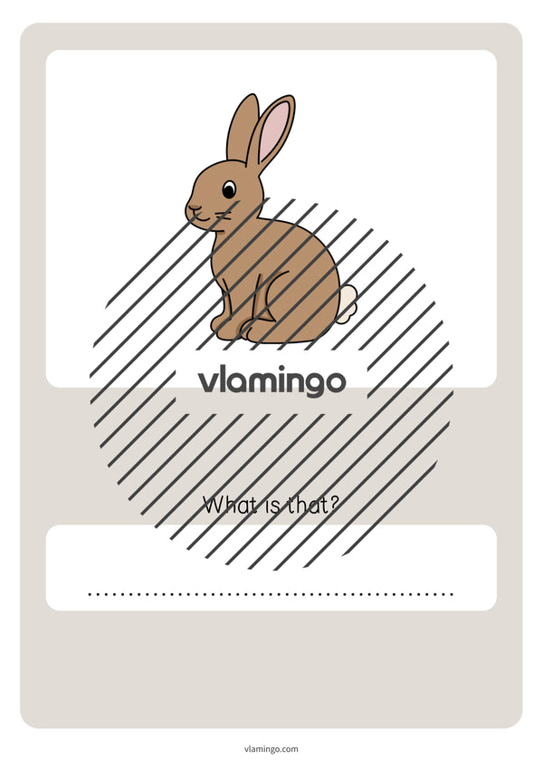 de englisch pets vocabulary quiz 052