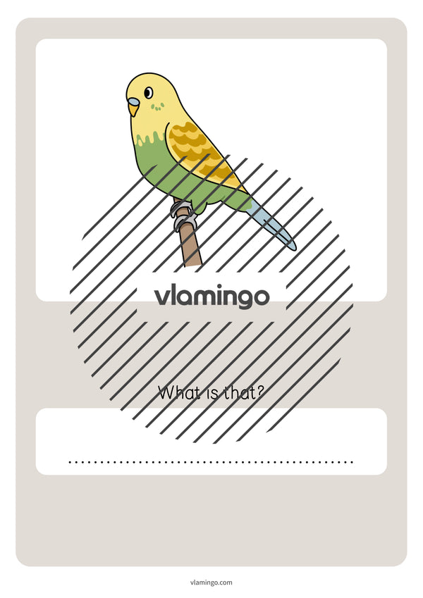 de englisch pets vocabulary quiz 054