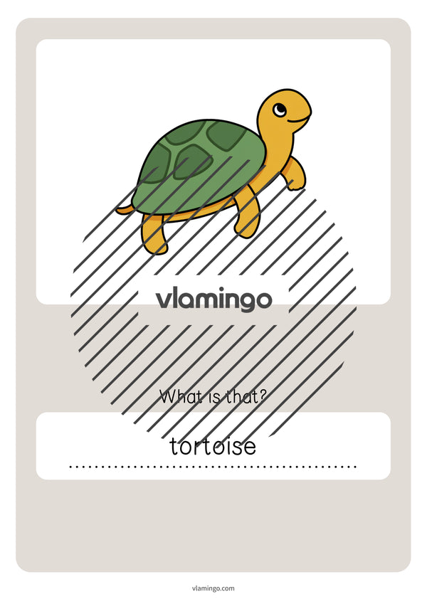 de englisch pets vocabulary quiz 057