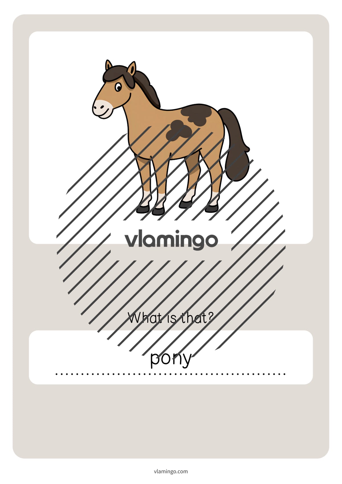 de englisch pets vocabulary quiz 059