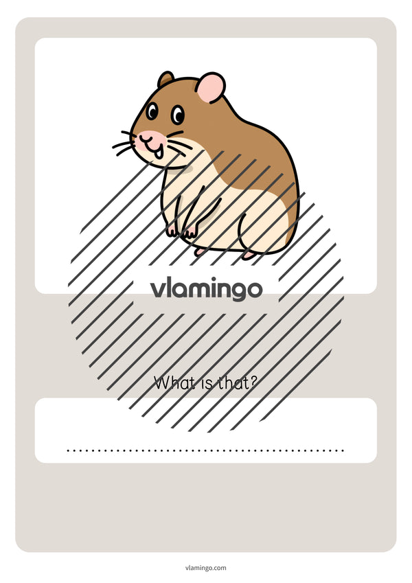 de englisch pets vocabulary quiz 060