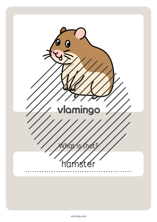 de englisch pets vocabulary quiz 061