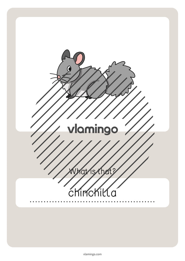 de englisch pets vocabulary quiz 065
