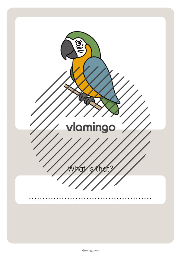 de englisch pets vocabulary quiz 066