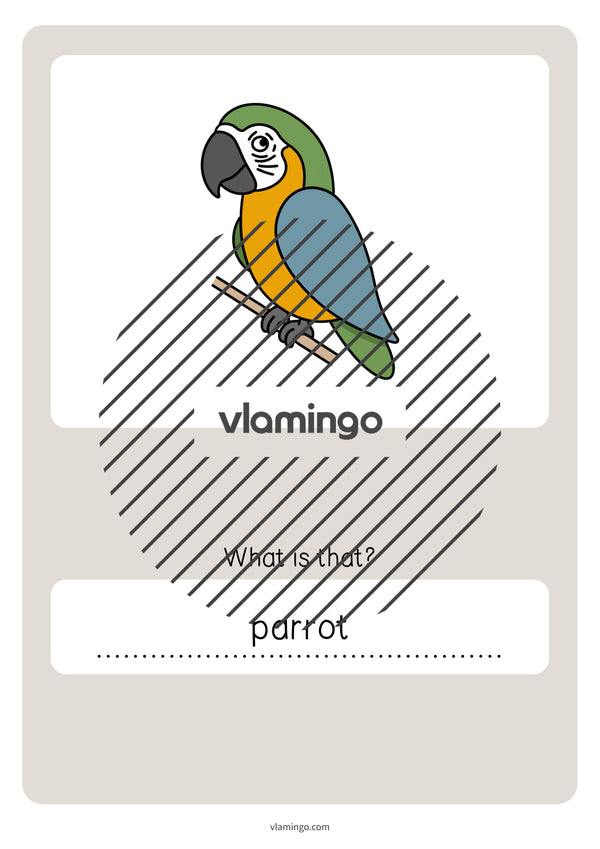 de englisch pets vocabulary quiz 067