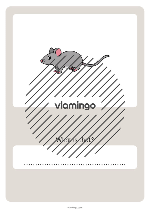 de englisch pets vocabulary quiz 068