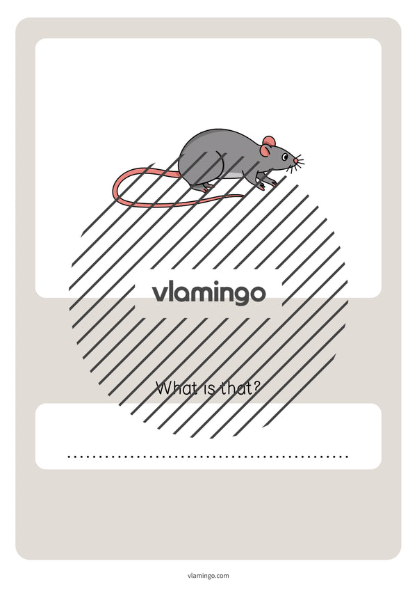 de englisch pets vocabulary quiz 072