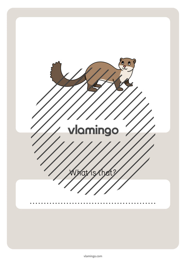 de englisch pets vocabulary quiz 076