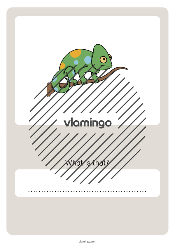de englisch pets vocabulary quiz 078