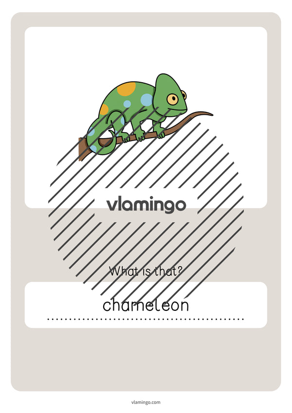 de englisch pets vocabulary quiz 079