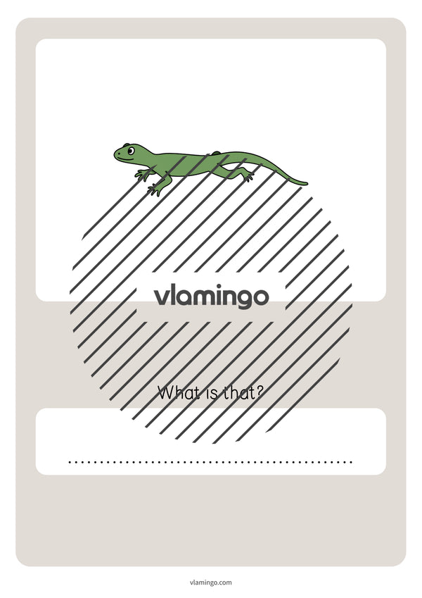 de englisch pets vocabulary quiz 082