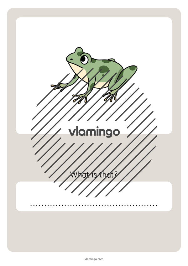 de englisch pets vocabulary quiz 084