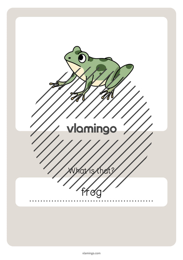 de englisch pets vocabulary quiz 085