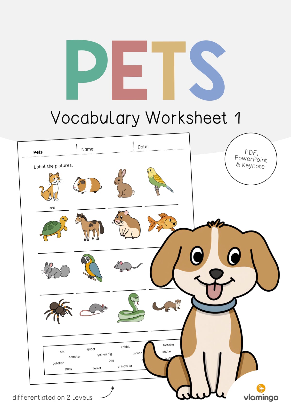 de englisch pets vocabulary worksheet 1 001