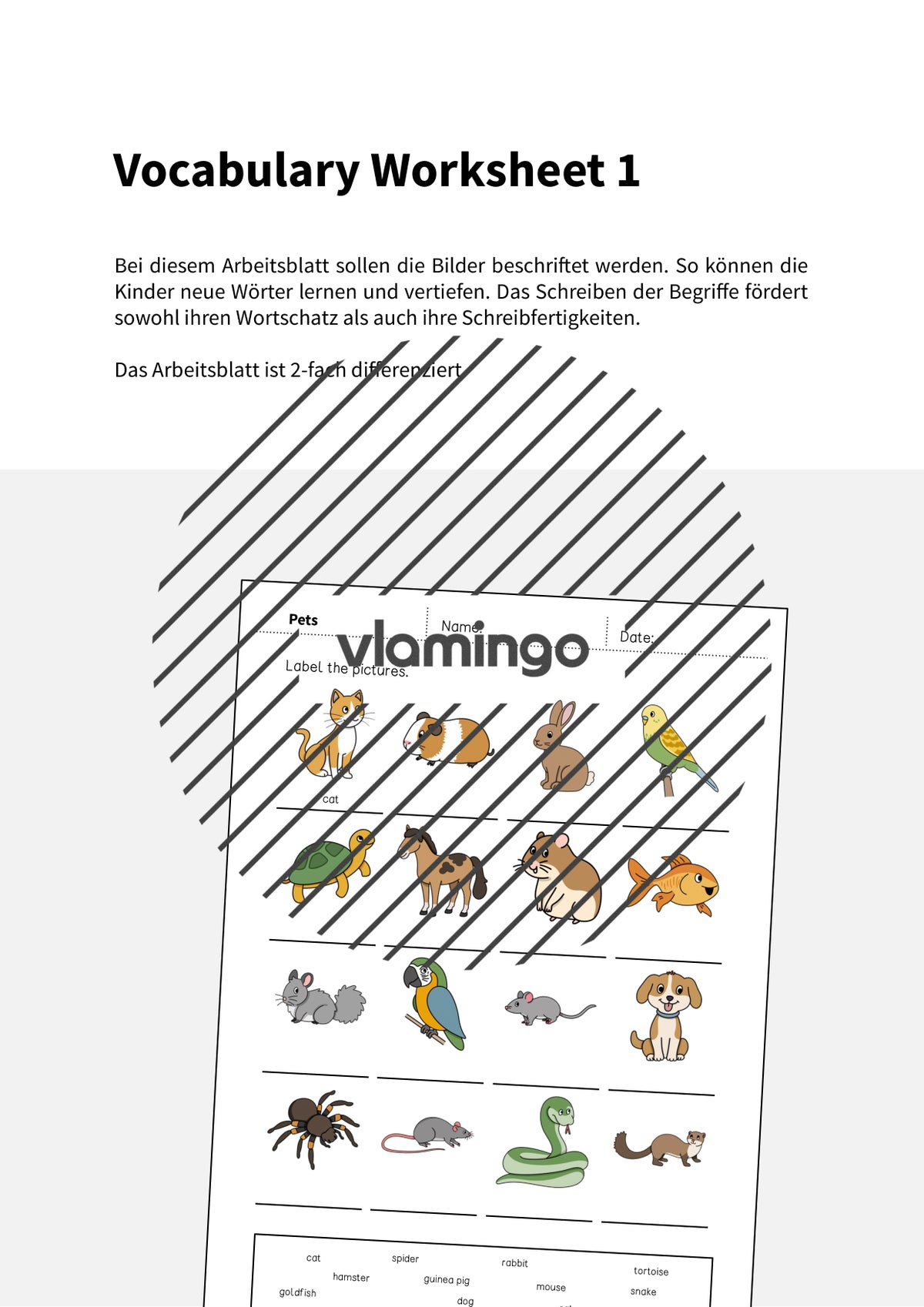 de englisch pets vocabulary worksheet 1 002