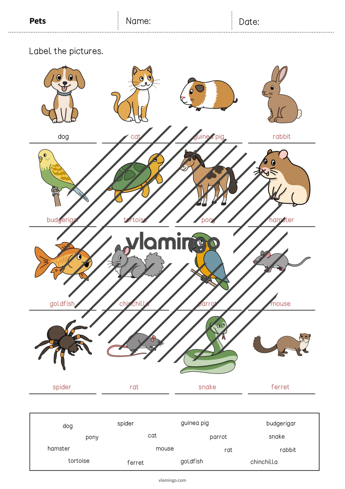 de englisch pets vocabulary worksheet 1 008