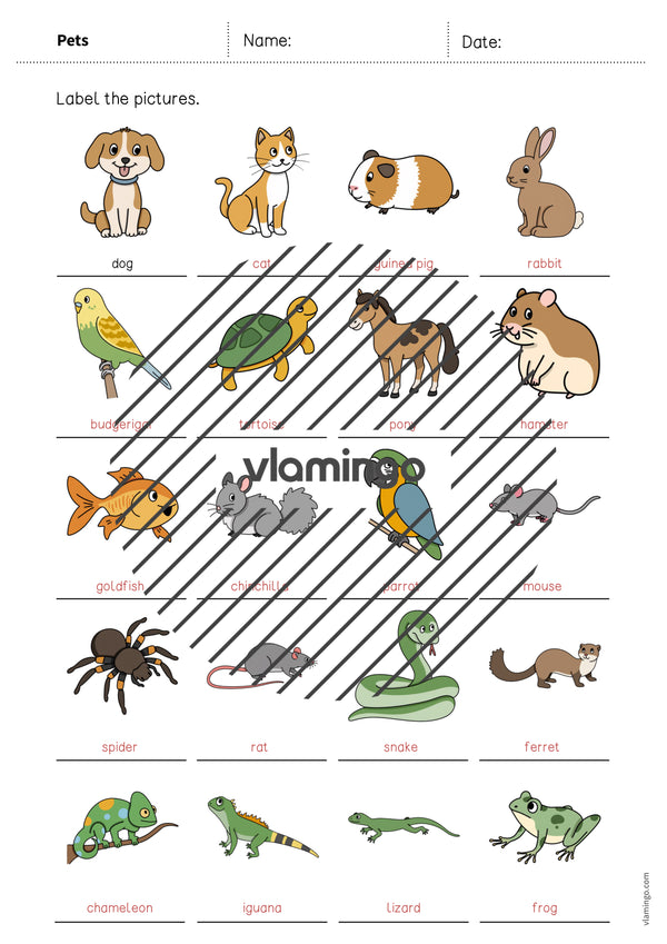 de englisch pets vocabulary worksheet 1 009