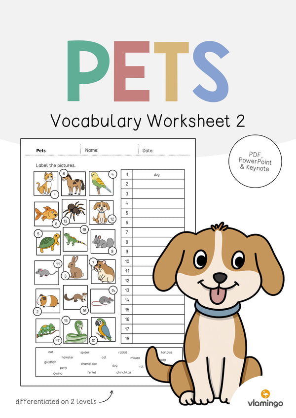 de englisch pets vocabulary worksheet 2 001