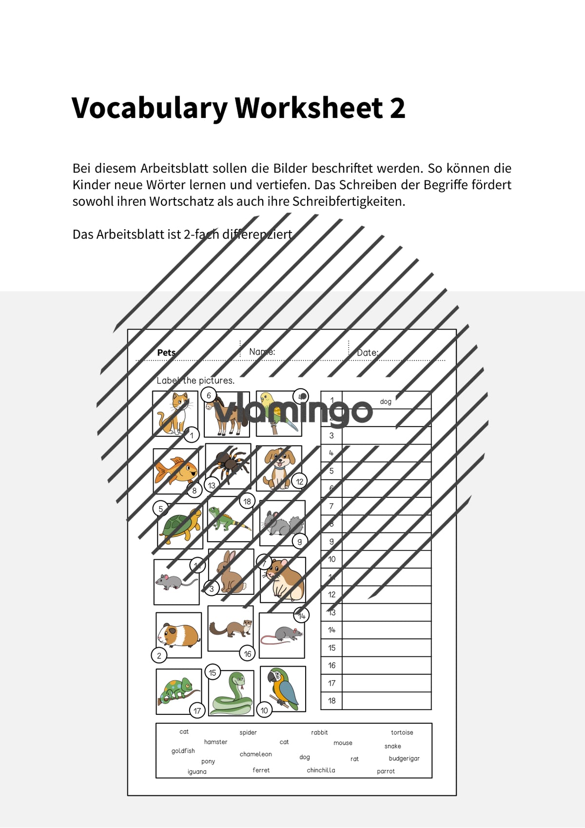 de englisch pets vocabulary worksheet 2 002