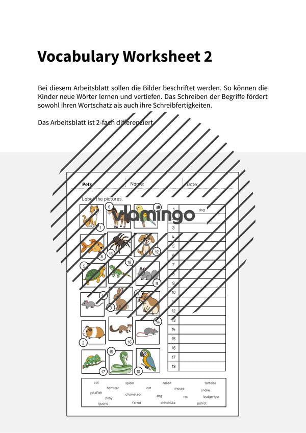 de englisch pets vocabulary worksheet 2 002