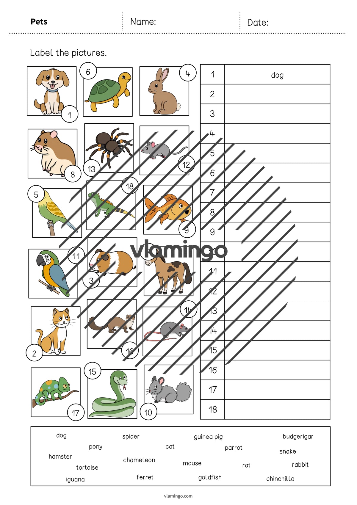 de englisch pets vocabulary worksheet 2 004