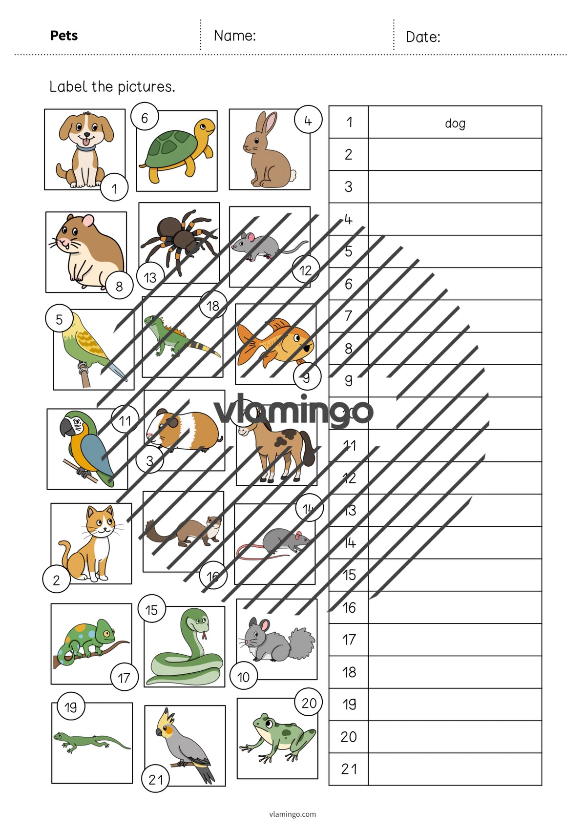 de englisch pets vocabulary worksheet 2 006