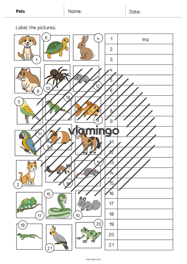 de englisch pets vocabulary worksheet 2 006
