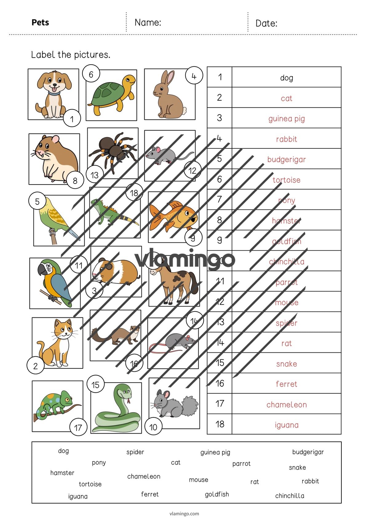 de englisch pets vocabulary worksheet 2 008