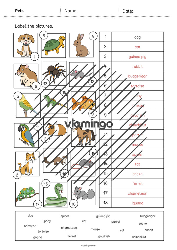 de englisch pets vocabulary worksheet 2 008