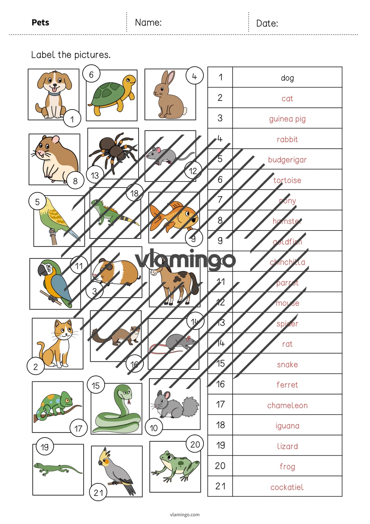 de englisch pets vocabulary worksheet 2 009