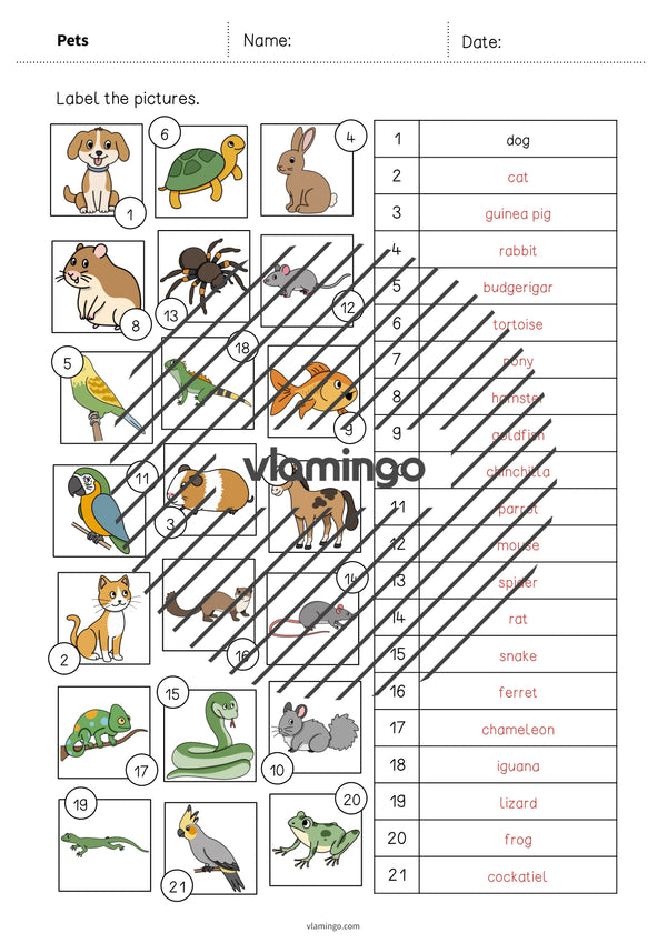 de englisch pets vocabulary worksheet 2 009