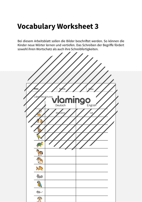 de englisch pets vocabulary worksheet 3 002