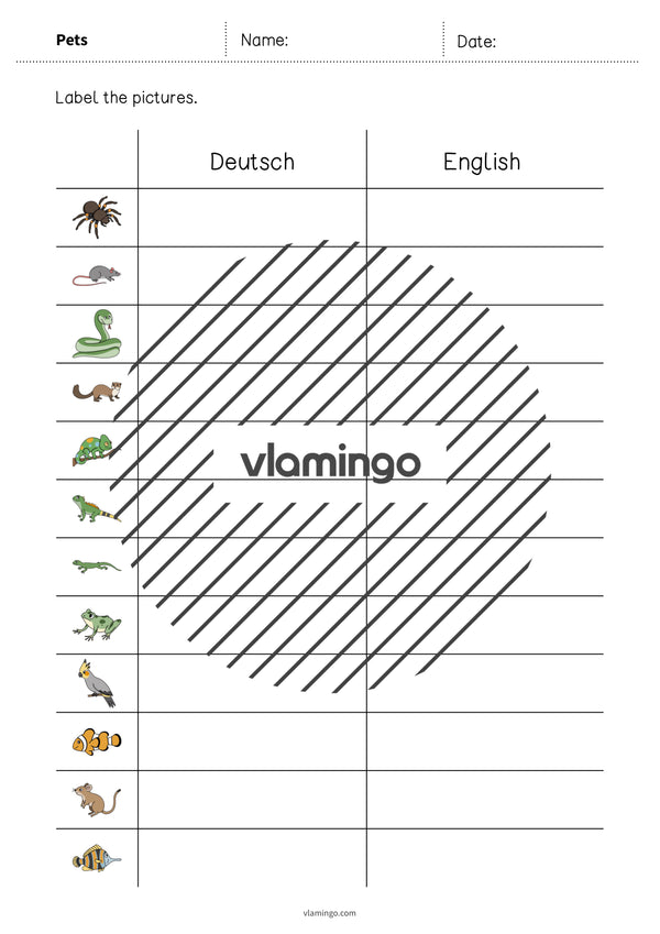 de englisch pets vocabulary worksheet 3 004