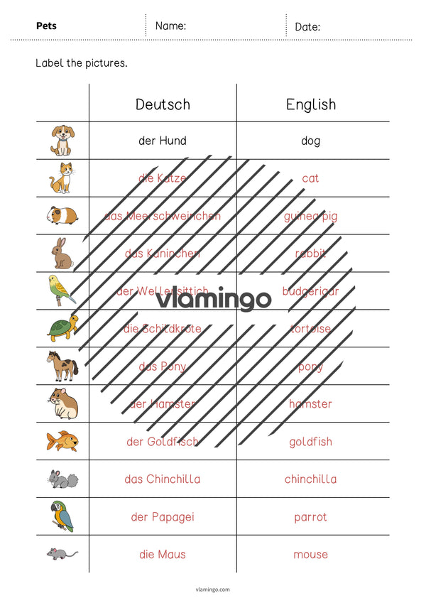de englisch pets vocabulary worksheet 3 006
