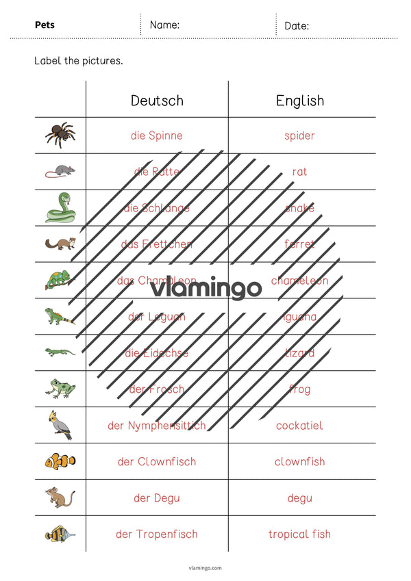 de englisch pets vocabulary worksheet 3 007