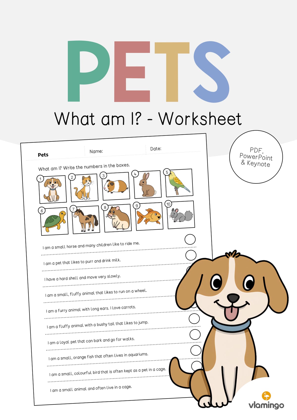 de englisch pets what am i worksheet 001