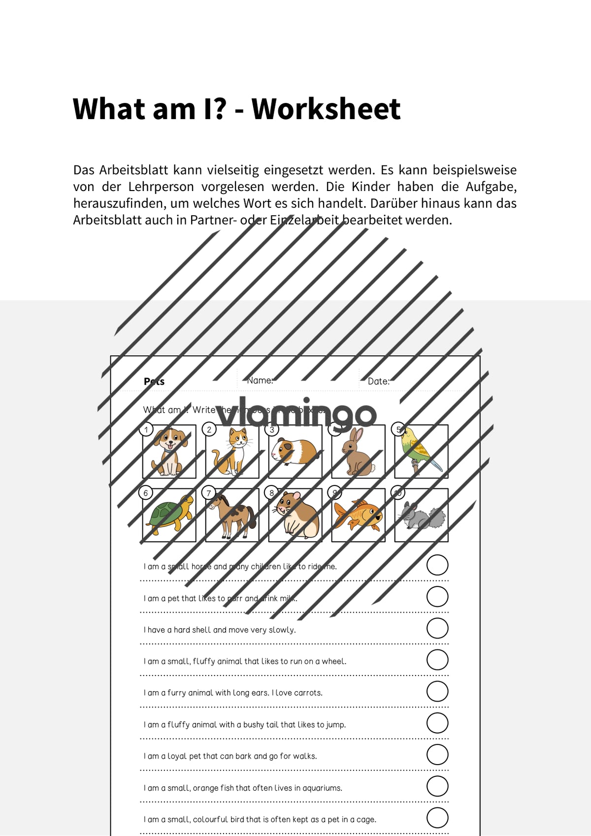 de englisch pets what am i worksheet 002