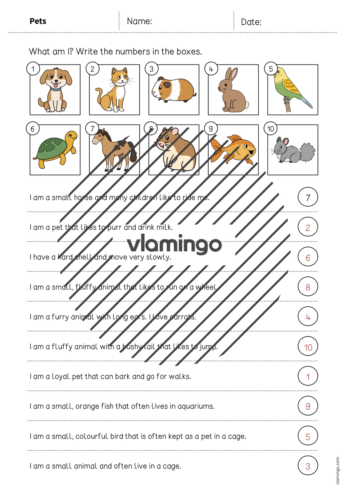 de englisch pets what am i worksheet 006