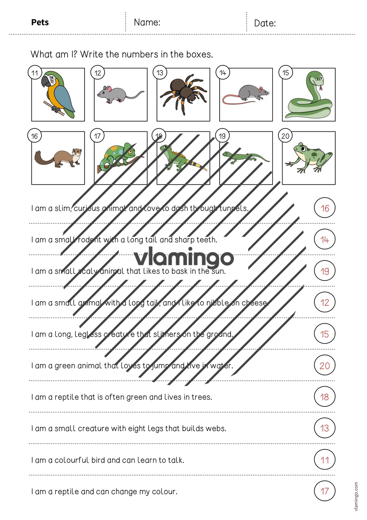 de englisch pets what am i worksheet 007