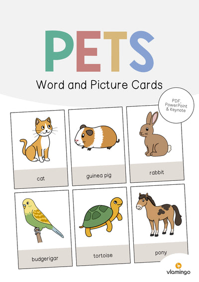 Pets / Haustiere: Word and Picture Cards (Englisch)