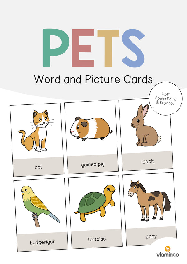 de englisch pets word and picture cards 001