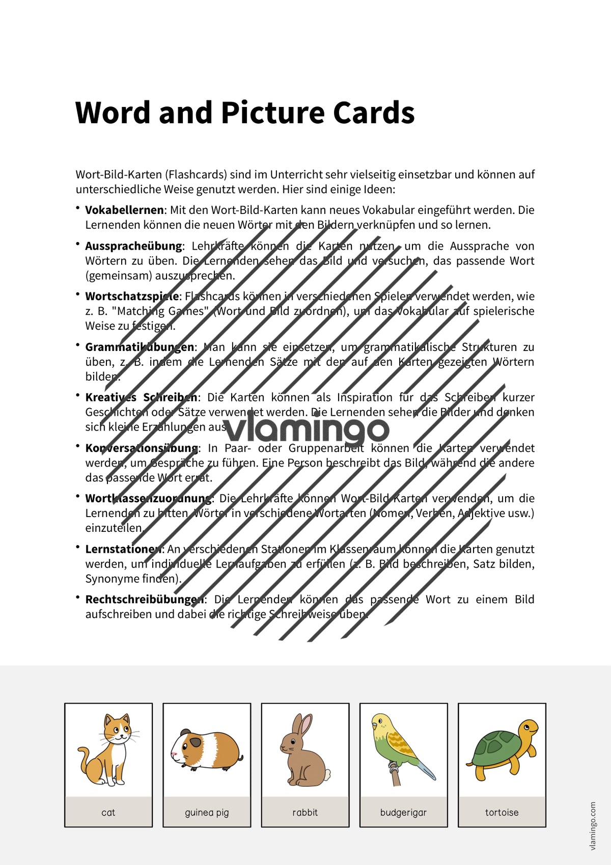 de englisch pets word and picture cards 002
