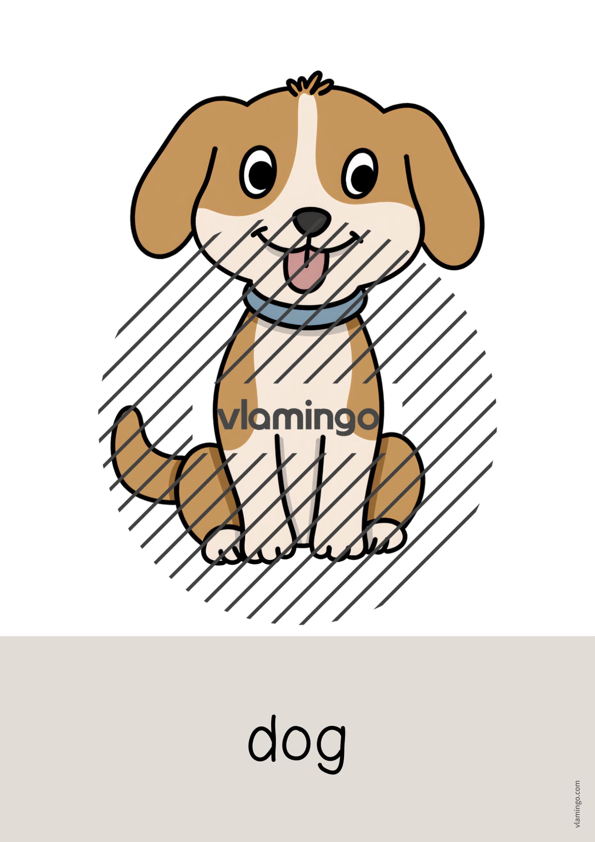 de englisch pets word and picture cards 003