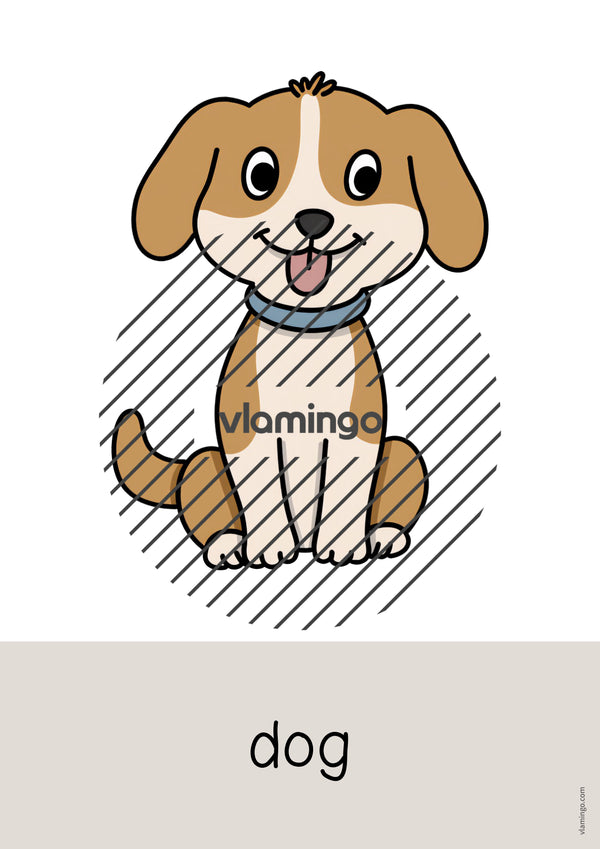 de englisch pets word and picture cards 003