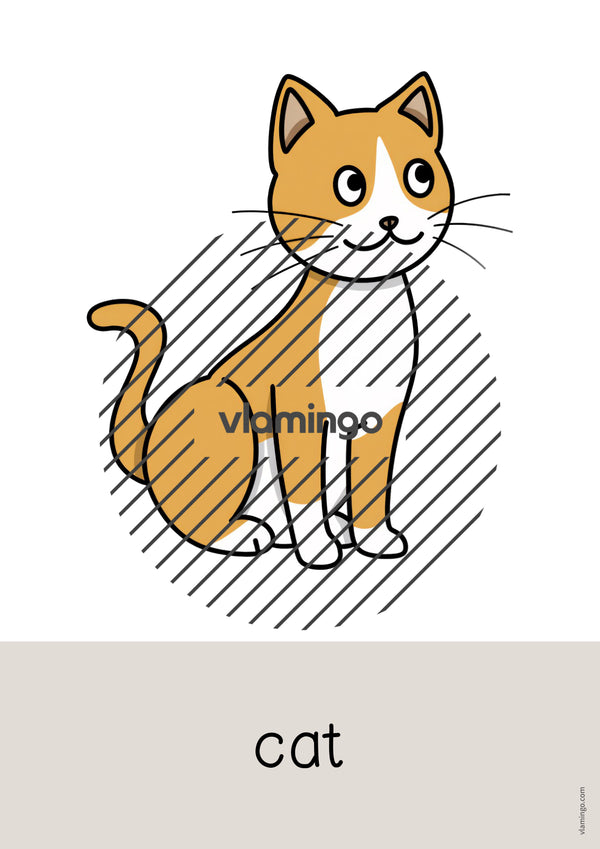 de englisch pets word and picture cards 004