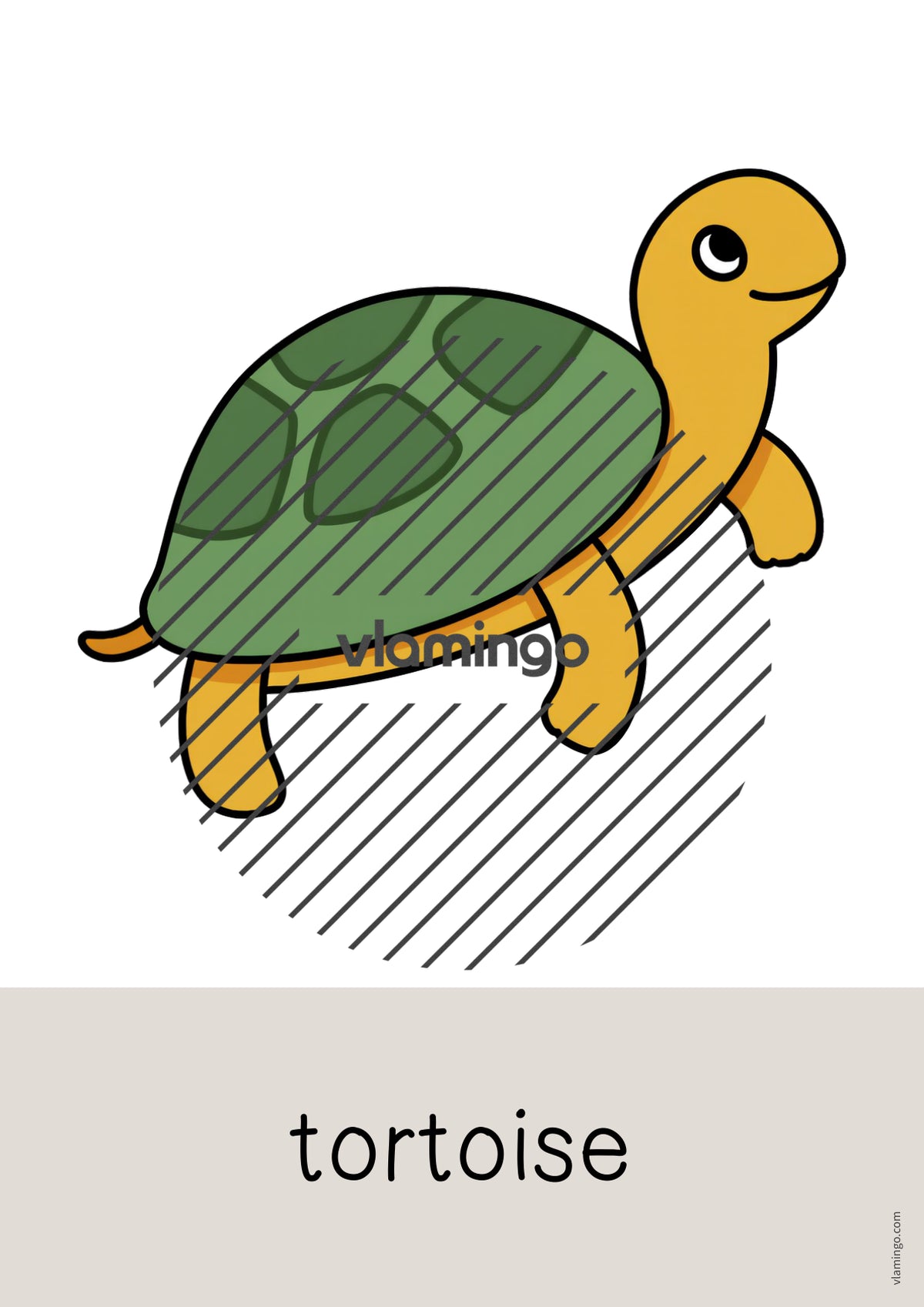 de englisch pets word and picture cards 008