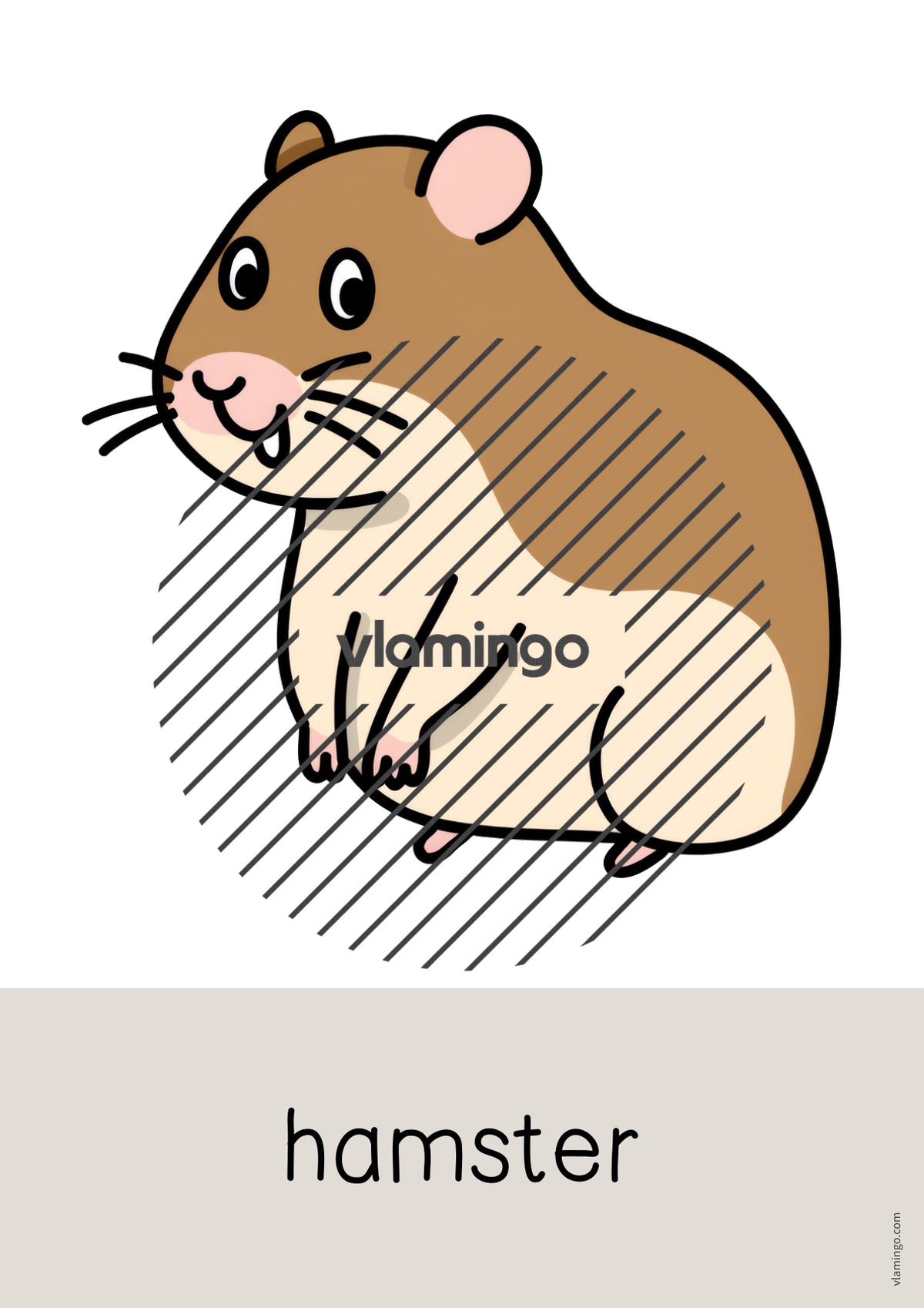 de englisch pets word and picture cards 010
