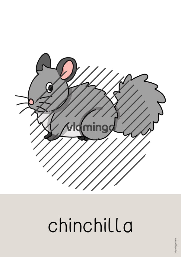 de englisch pets word and picture cards 012